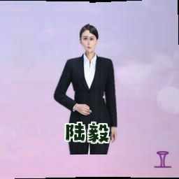 陆毅